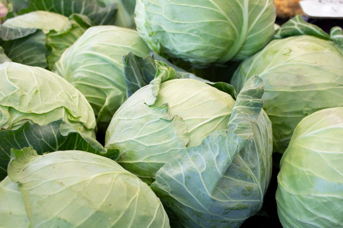 Farm-Fresh Cabbage (Bulk Supply) - Image 4