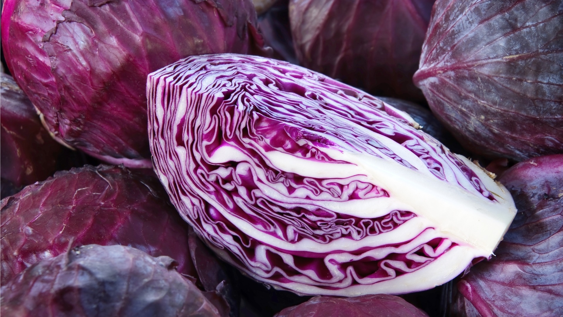 Farm-Fresh Cabbage (Bulk Supply) - Image 6