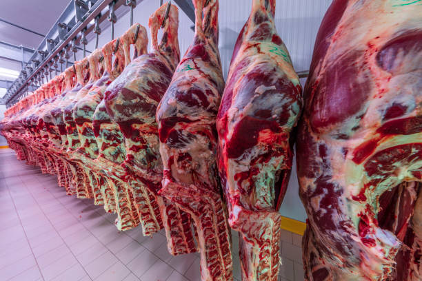 Quality Cow Meat (Bulk Supply for Processing) - Image 2