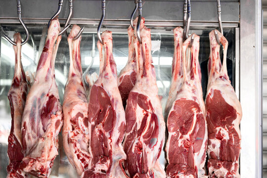 Quality Cow Meat (Bulk Supply for Processing) - Image 3