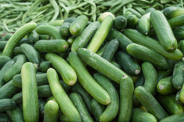 cucumber