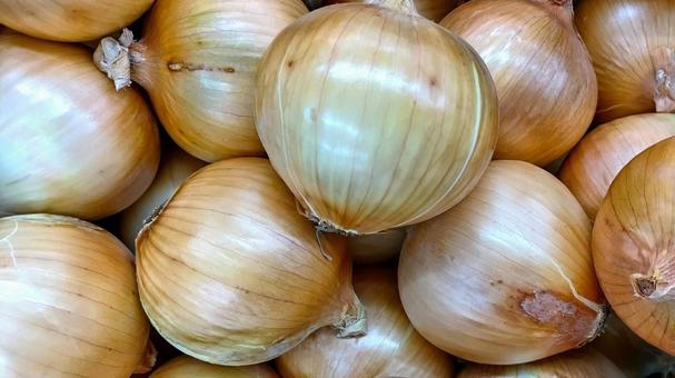 Fresh Onion (Bulk supply) - Image 3