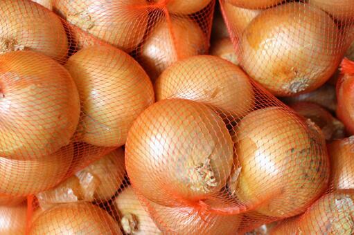 Fresh Onion (Bulk supply) - Image 5