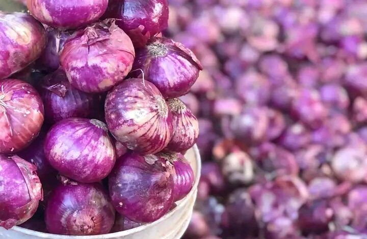 Fresh Onion (Bulk supply) - Image 6