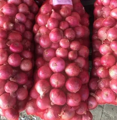 Fresh Onion (Bulk supply) - Image 8