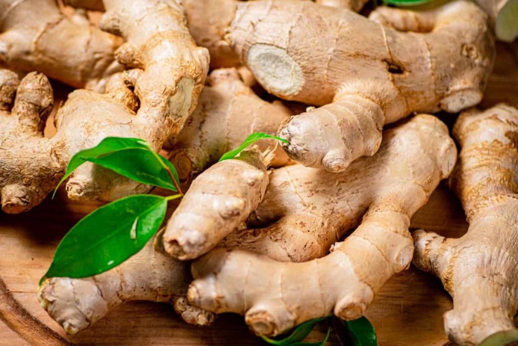 ets watson ginger