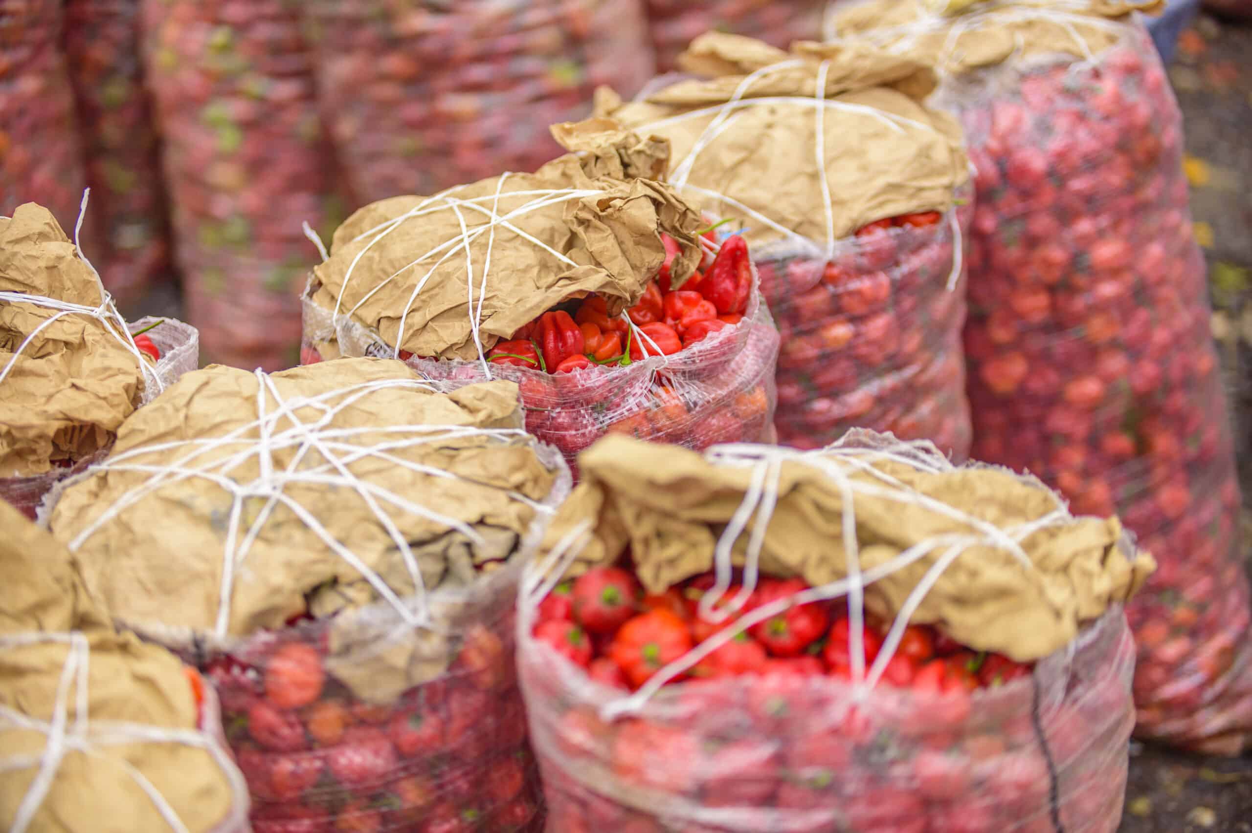 Fresh & Dried Pepper - Image 6